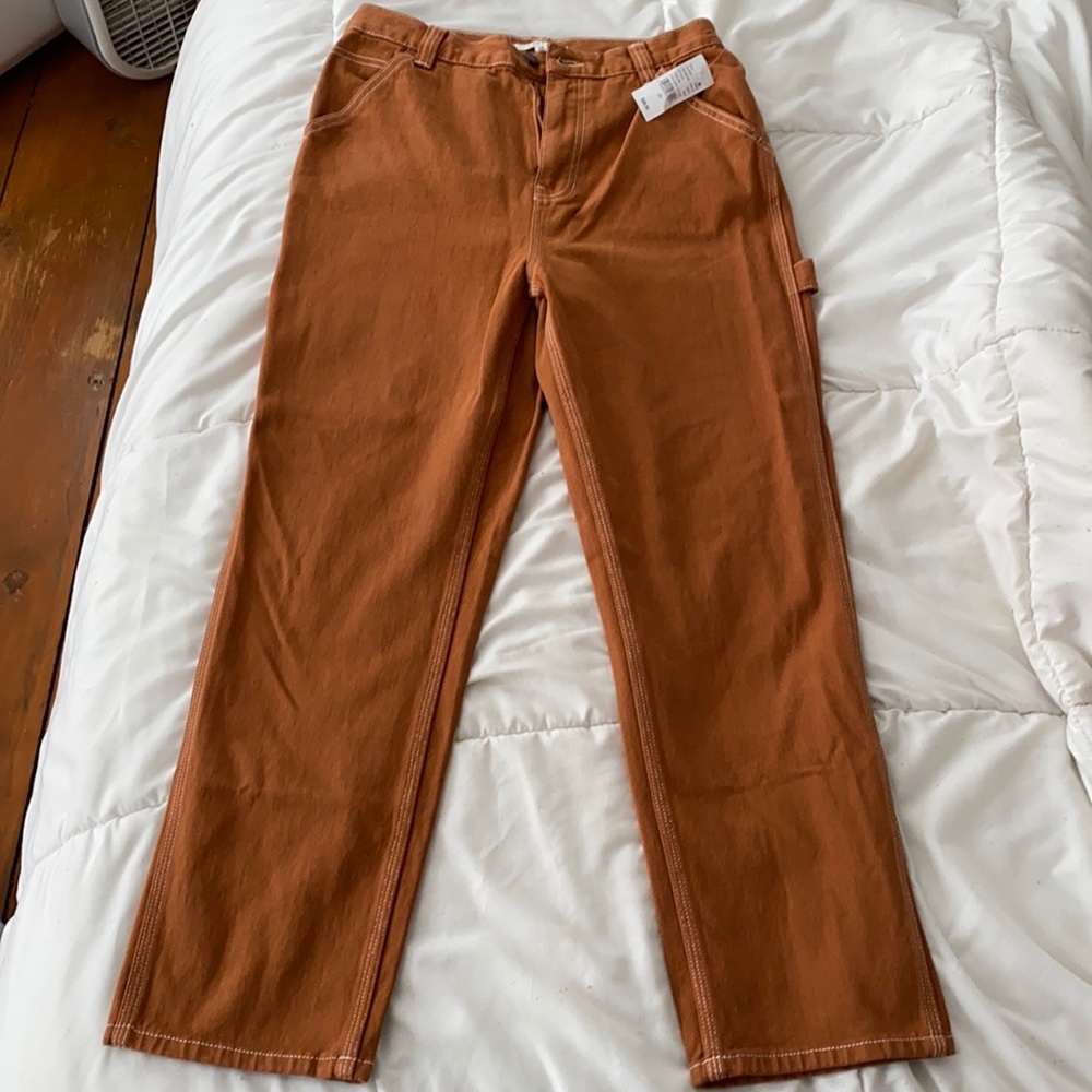 Pacsun Carpenter pants BRAND NEW WITH TAGS! Size 29.